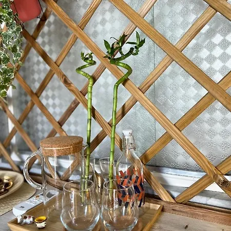 Mariamora Pansiyon *