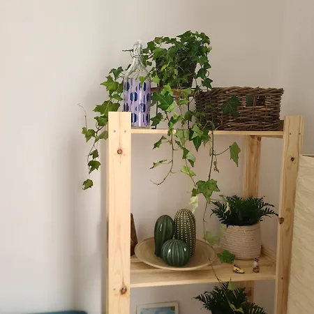 Mariamora Habitación en casa particular *